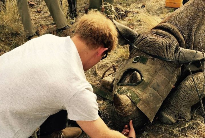 15 Interesting Facts About Prince Harry 10 15 Interesting Facts About Prince Harry