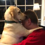 Parents Who Didn’t Want Pets But Ended Up Loving Them 24 Parents Who Didn’t Want Pets but Ended Up Loving Them