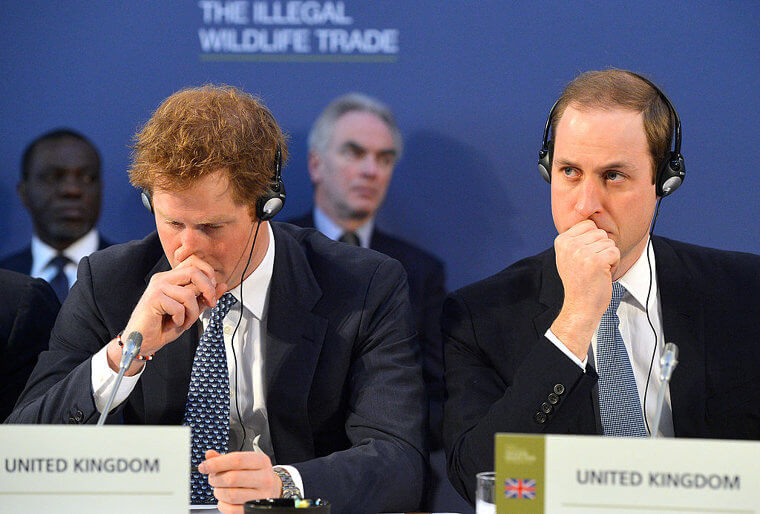 Meghan and Harry’s Shocking New Royal Revelations