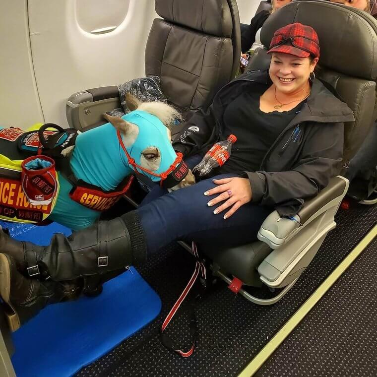 Employees Reveal The Most Bizarre Things They’ve Ever Seen On The Job 23 Employees Reveal the Most Bizarre Things They’ve Ever Seen on the Job