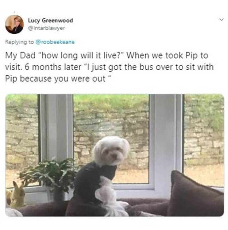 Parents Who Didn’t Want Pets But Ended Up Loving Them 3 Parents Who Didn’t Want Pets but Ended Up Loving Them