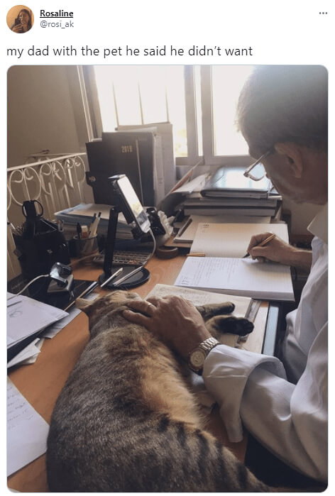 Parents Who Didn’t Want Pets But Ended Up Loving Them 6 Parents Who Didn’t Want Pets but Ended Up Loving Them