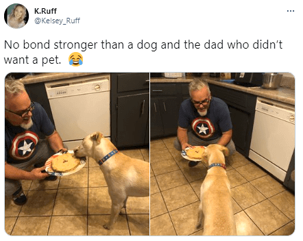 Parents Who Didn’t Want Pets But Ended Up Loving Them 7 Parents Who Didn’t Want Pets but Ended Up Loving Them