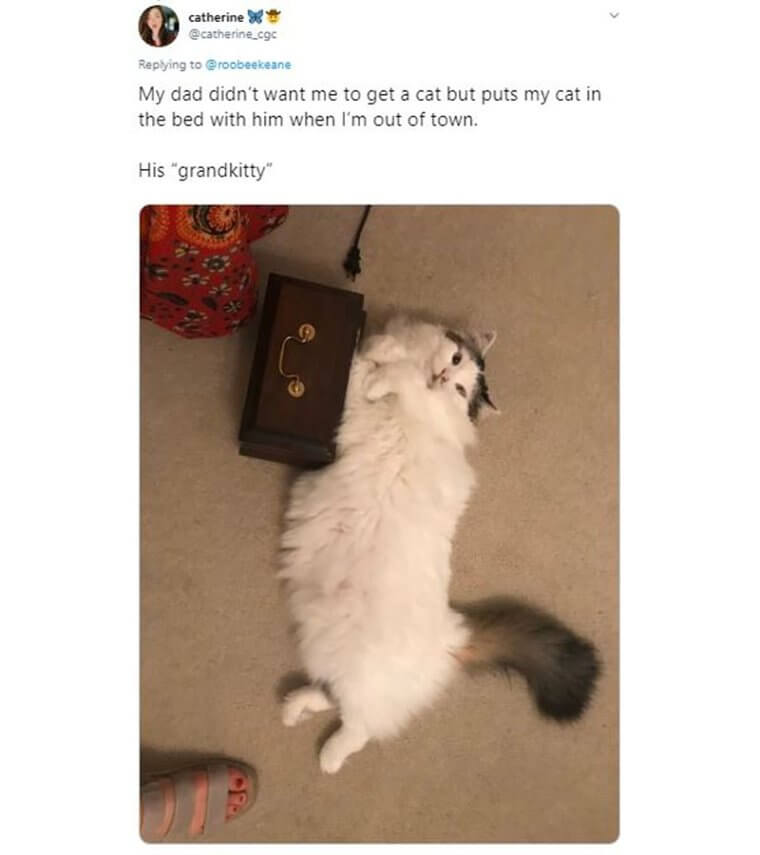 Parents Who Didn’t Want Pets But Ended Up Loving Them 8 Parents Who Didn’t Want Pets but Ended Up Loving Them