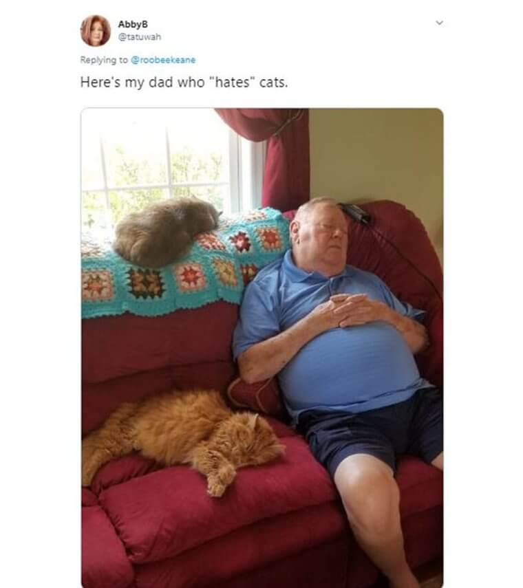 Parents Who Didn’t Want Pets But Ended Up Loving Them 9 Parents Who Didn’t Want Pets but Ended Up Loving Them