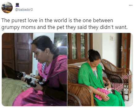 Parents Who Didn’t Want Pets But Ended Up Loving Them 10 Parents Who Didn’t Want Pets but Ended Up Loving Them