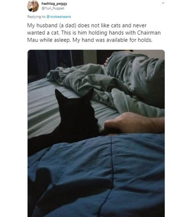 Parents Who Didn’t Want Pets But Ended Up Loving Them 16 Parents Who Didn’t Want Pets but Ended Up Loving Them