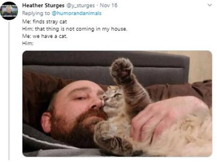 Parents Who Didn’t Want Pets But Ended Up Loving Them 20 Parents Who Didn’t Want Pets but Ended Up Loving Them