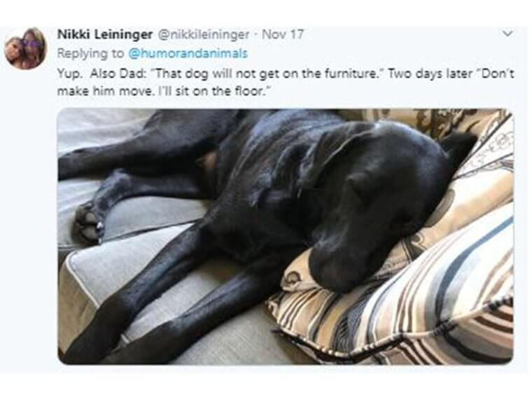 Parents Who Didn’t Want Pets But Ended Up Loving Them 21 Parents Who Didn’t Want Pets but Ended Up Loving Them