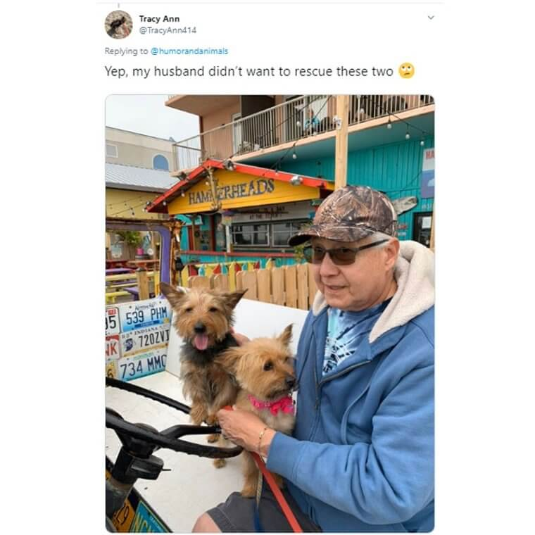 Parents Who Didn’t Want Pets But Ended Up Loving Them 22 Parents Who Didn’t Want Pets but Ended Up Loving Them