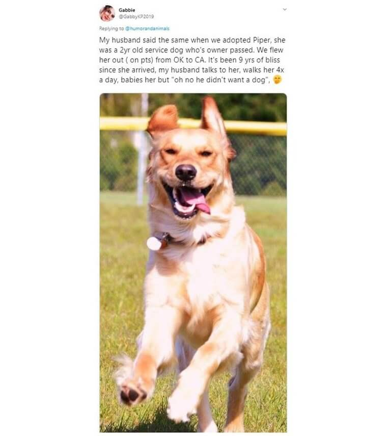 Parents Who Didn’t Want Pets But Ended Up Loving Them 23 Parents Who Didn’t Want Pets but Ended Up Loving Them