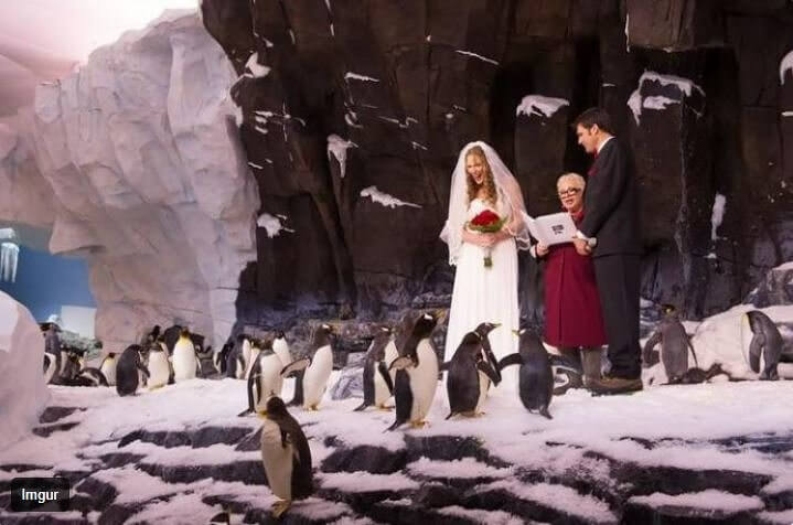 Adorable Couples Who Redefined What Love Really Means 24 Adorable Couples Who Redefined What Love Really Means