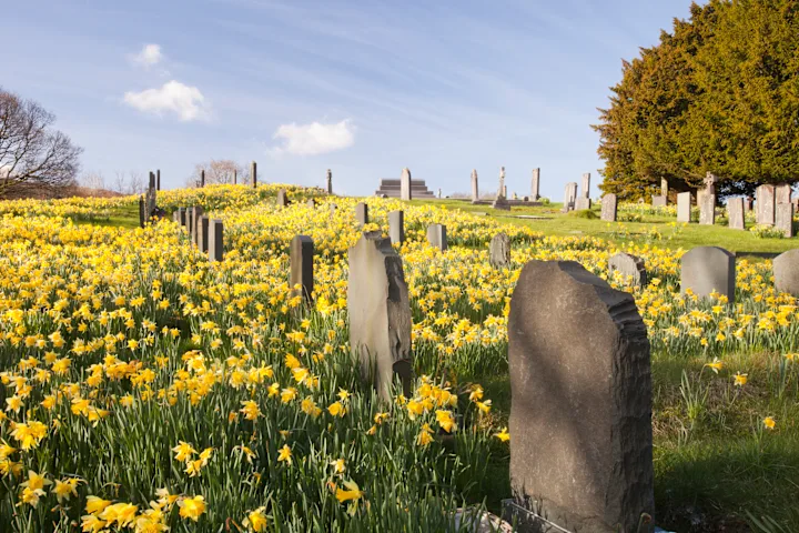What Really Happens When Cemeteries Run Out Of Space? 3 What Really Happens When Cemeteries Run Out of Space?