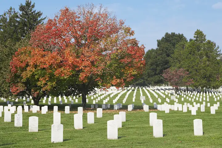 What Really Happens When Cemeteries Run Out Of Space? 4 What Really Happens When Cemeteries Run Out of Space?