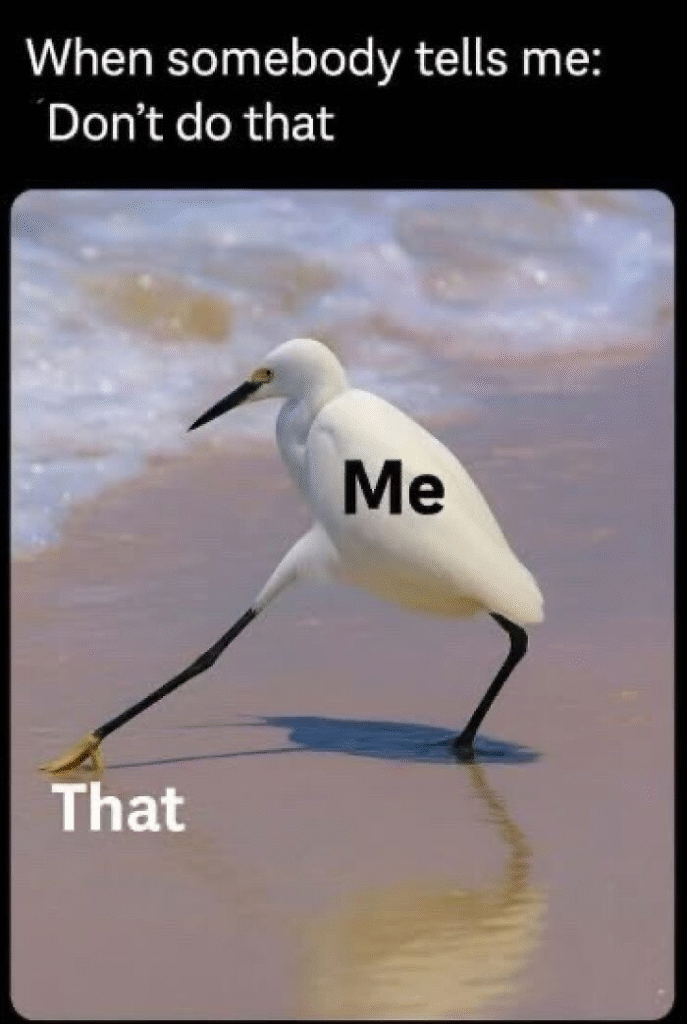 30 Funny Anxiety Memes That Might Actually Calm You Down 23 30 Funny Anxiety Memes That Might Actually Calm You Down