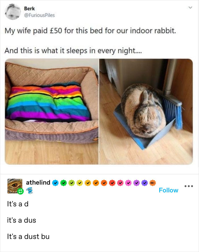 33 Funny Animal Memes That Show They’re Just Like Us 5 33 Funny Animal Memes That Show They’re Just Like Us