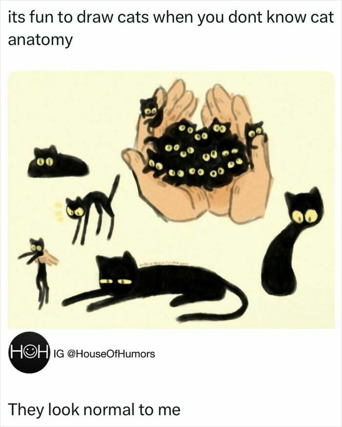 33 Funny Animal Memes That Show They’re Just Like Us 7 33 Funny Animal Memes That Show They’re Just Like Us