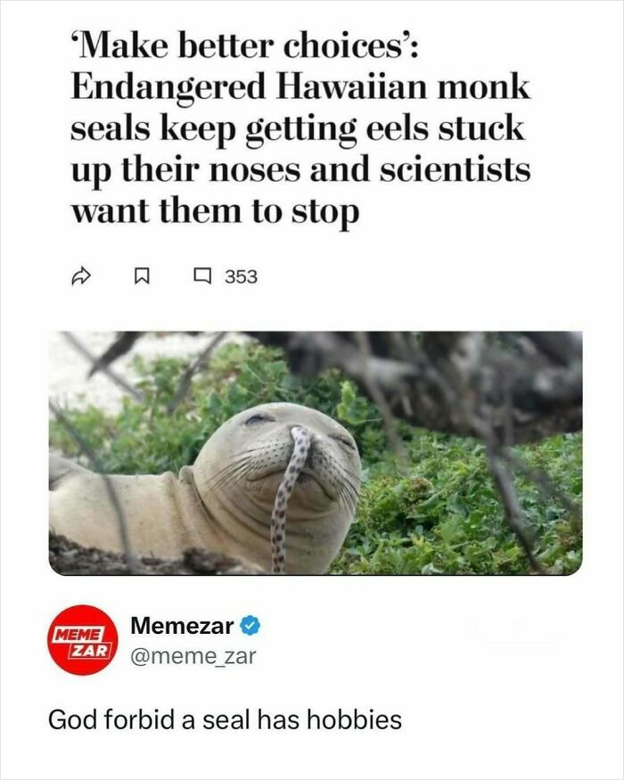 33 Funny Animal Memes That Show They’re Just Like Us 20 33 Funny Animal Memes That Show They’re Just Like Us