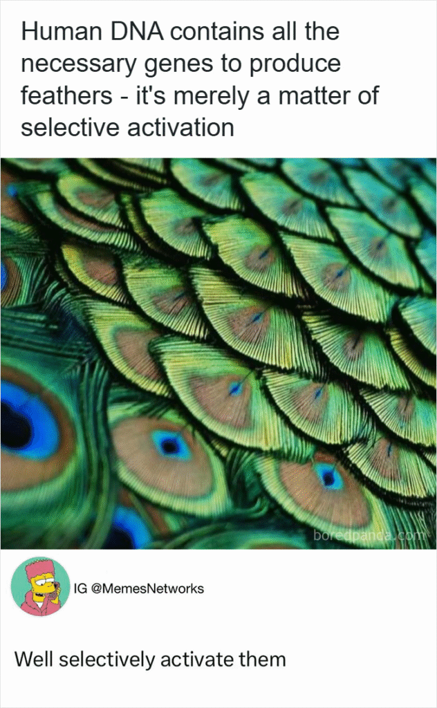 33 Funny Animal Memes That Show They’re Just Like Us 21 33 Funny Animal Memes That Show They’re Just Like Us