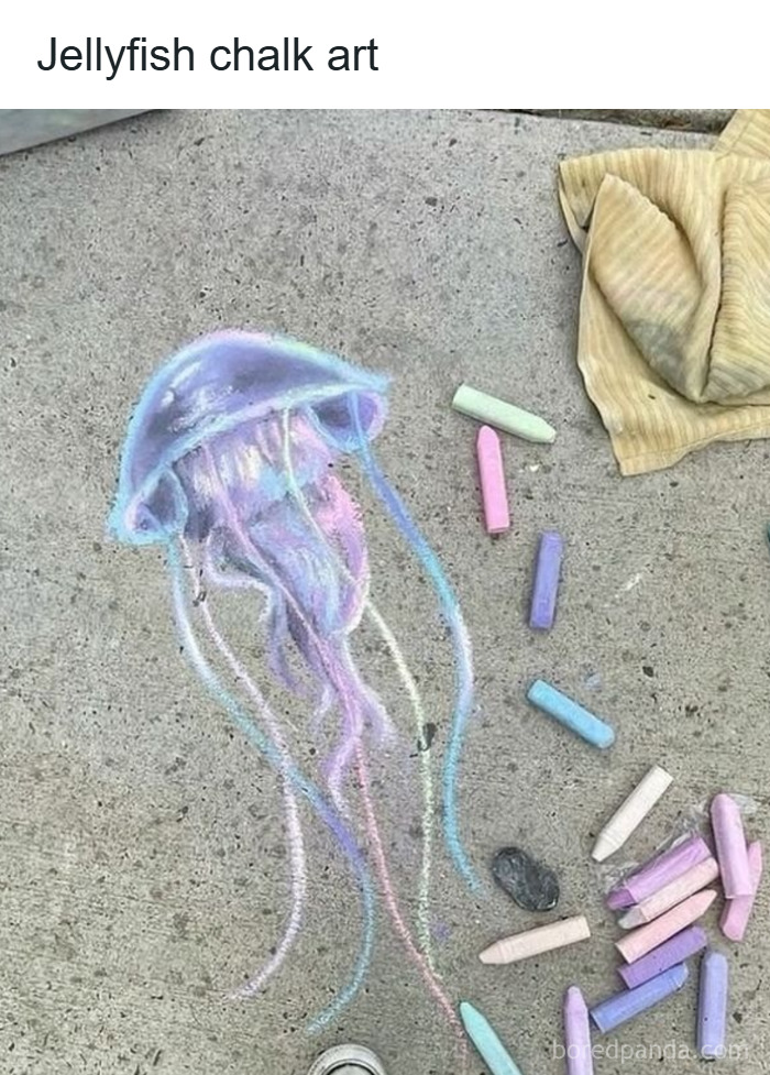 33 Funny Animal Memes That Show They’re Just Like Us 23 33 Funny Animal Memes That Show They’re Just Like Us