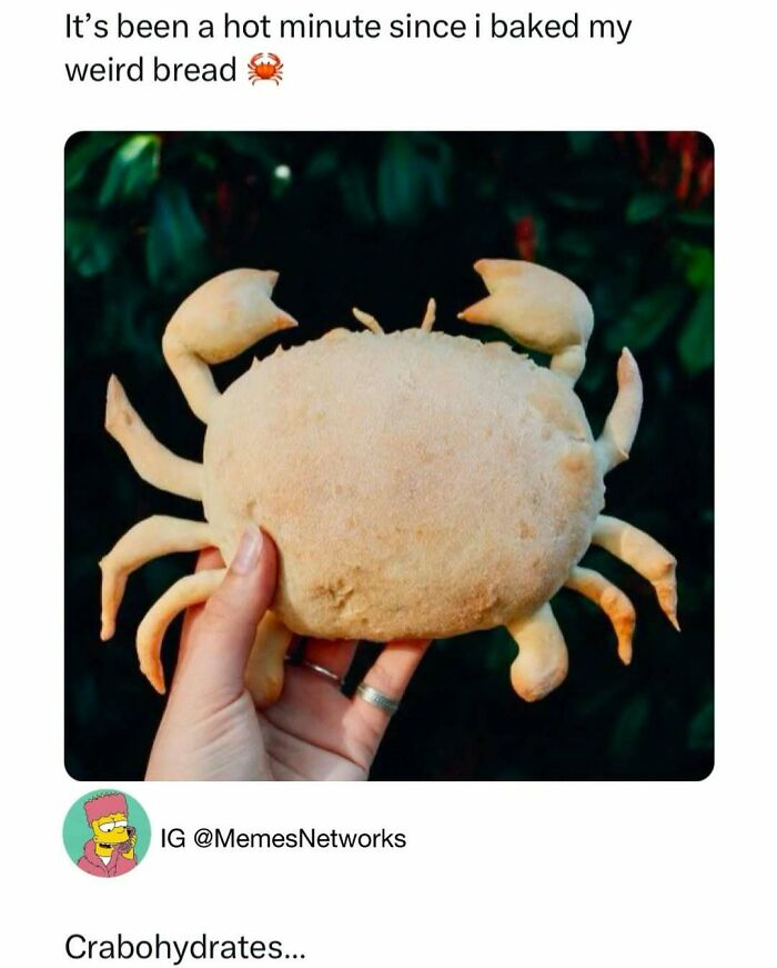 33 Funny Animal Memes That Show They’re Just Like Us 24 33 Funny Animal Memes That Show They’re Just Like Us