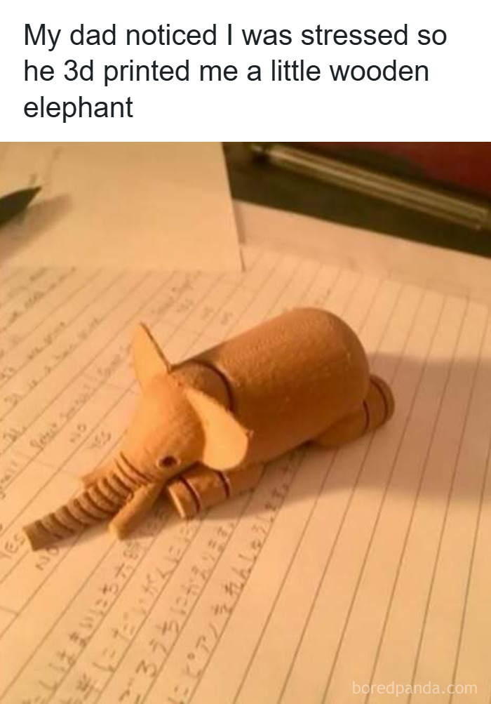 33 Funny Animal Memes That Show They’re Just Like Us 26 33 Funny Animal Memes That Show They’re Just Like Us