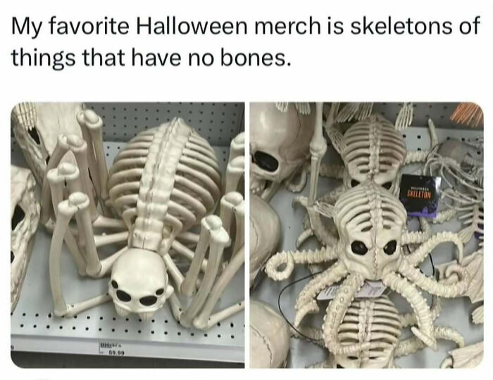 33 Funny Animal Memes That Show They’re Just Like Us 27 33 Funny Animal Memes That Show They’re Just Like Us