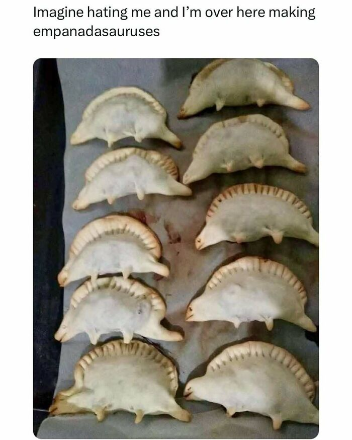 33 Funny Animal Memes That Show They’re Just Like Us 29 33 Funny Animal Memes That Show They’re Just Like Us