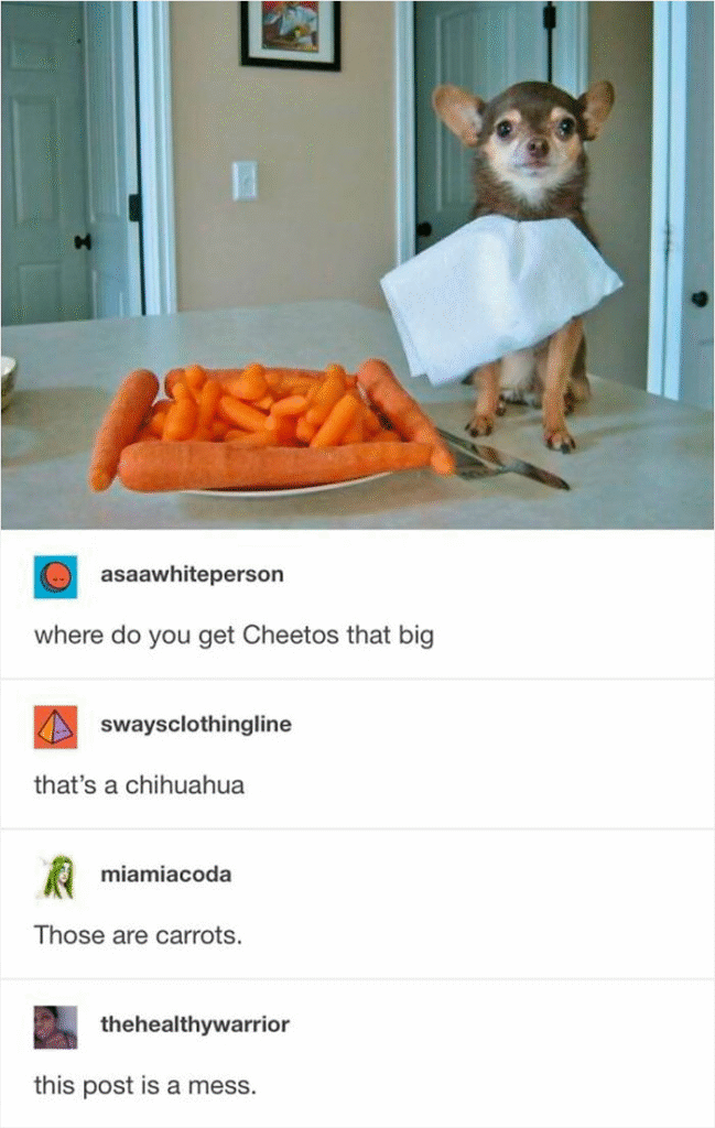 33 Funny Animal Memes That Show They’re Just Like Us 31 33 Funny Animal Memes That Show They’re Just Like Us