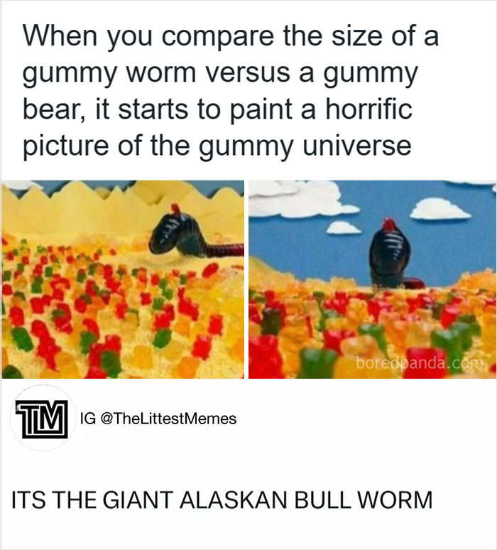 33 Funny Animal Memes That Show They’re Just Like Us 33 33 Funny Animal Memes That Show They’re Just Like Us