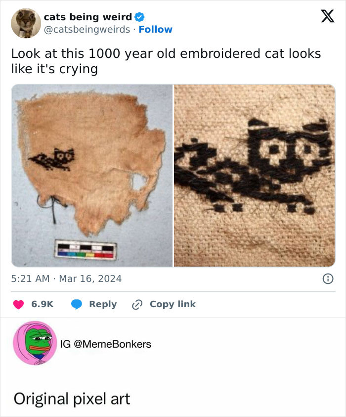 33 Funny Animal Memes That Show They’re Just Like Us 34 33 Funny Animal Memes That Show They’re Just Like Us