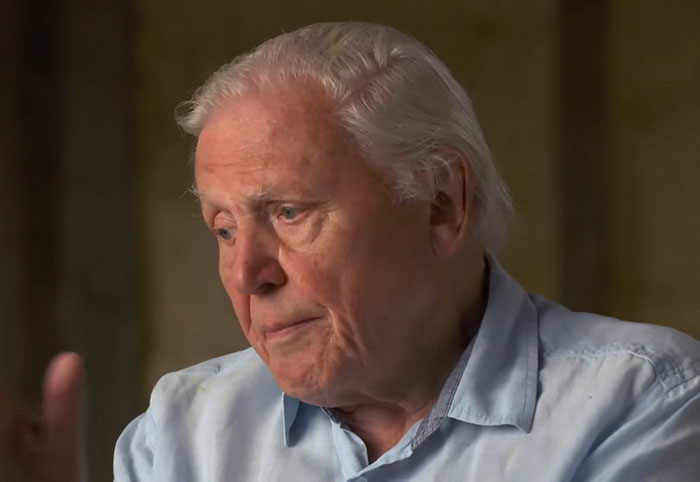 25 Celebrity Encounters People Say They’ll Never Forget