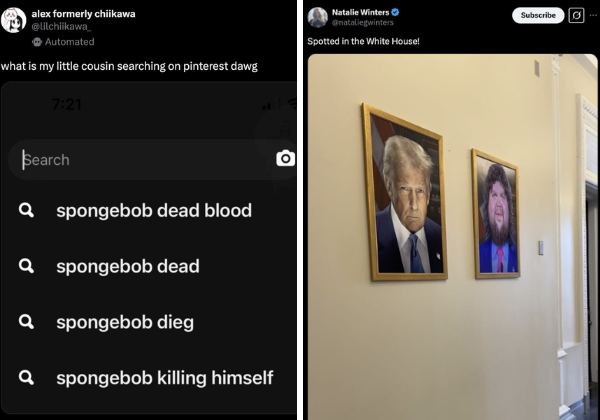 50 Funniest Tweets From the Last 24 Hours That Will Make Your Day